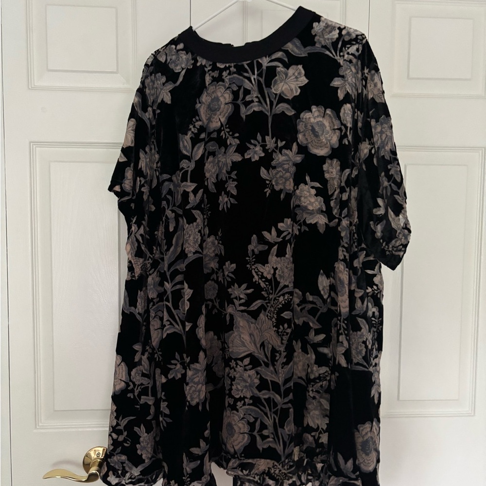 FREE PEOPLE velvet and sheer top